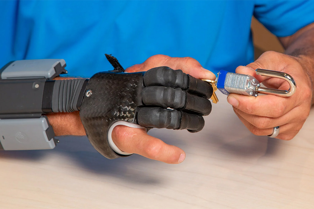 Hand (Partial Hand, Fingers)-details